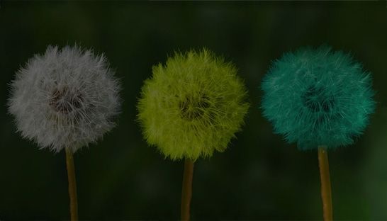 Accounting and advisory firm in Croatia joins PKF International