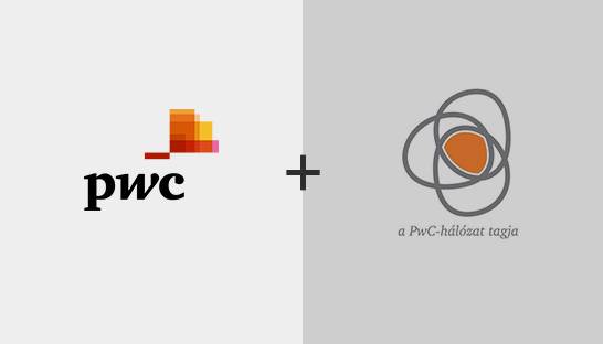 PwC Hungary acquires data analytics boutique Data Solutions