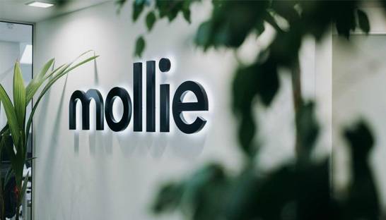 How Webs helped Mollie professionalise its HubSpot