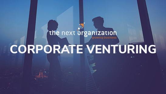 The innovation objectives and risks of corporate venturing