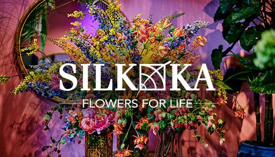 Cross-border Marktlink team finds Swedish investor for Silk-ka