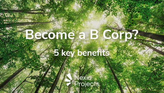 Why become a certified B Corp? 5 key benefits outlined