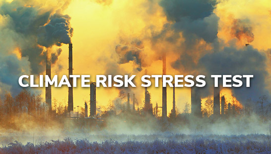 The challenges of climate risk stress testing for banks