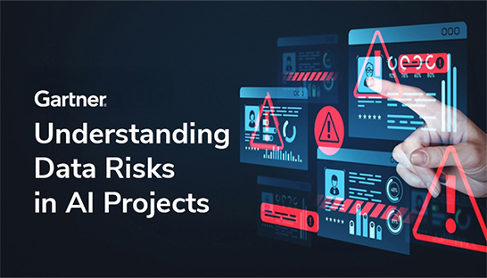 Understanding major data risks in AI projects