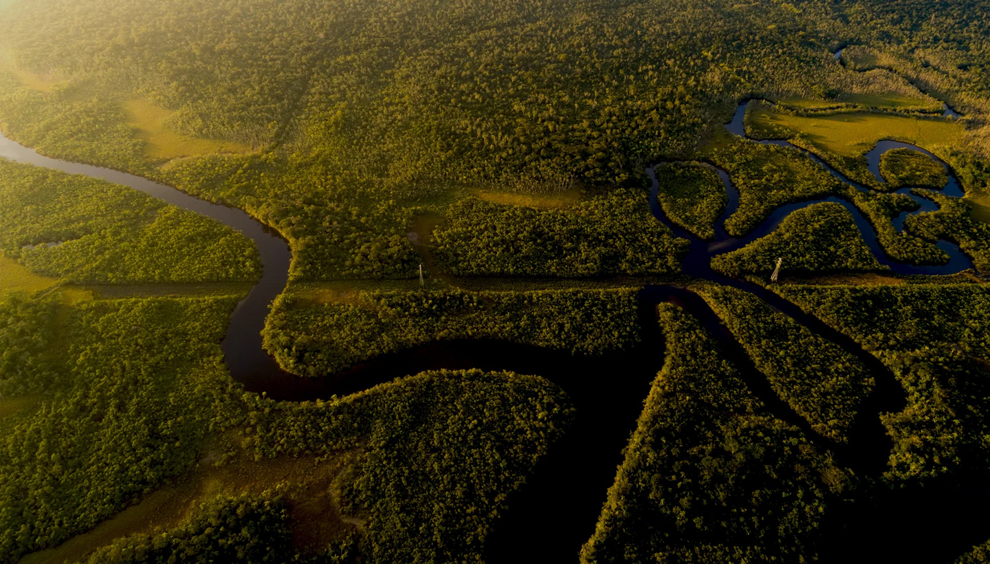 Latin America Rankings