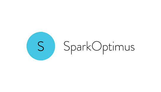 Consulting firm in Europe: SparkOptimus